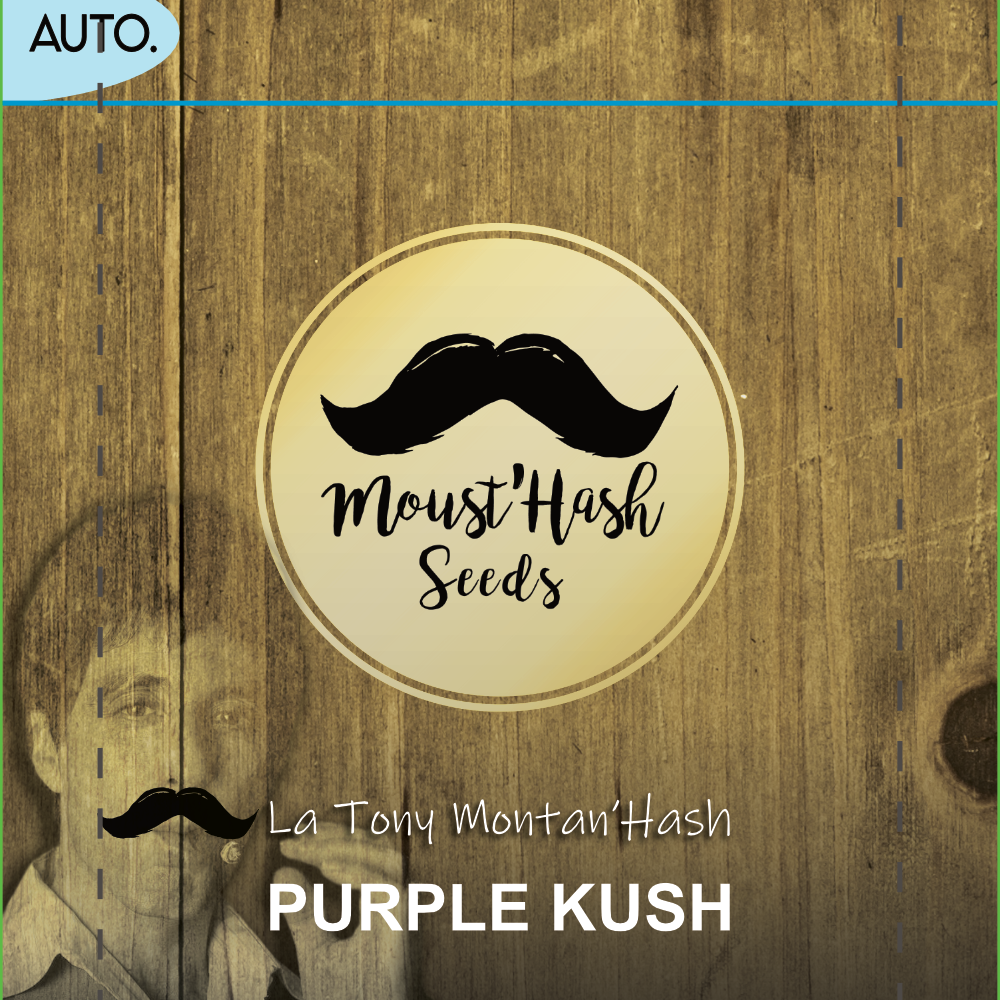 La Tony Montan'Hash (x3)