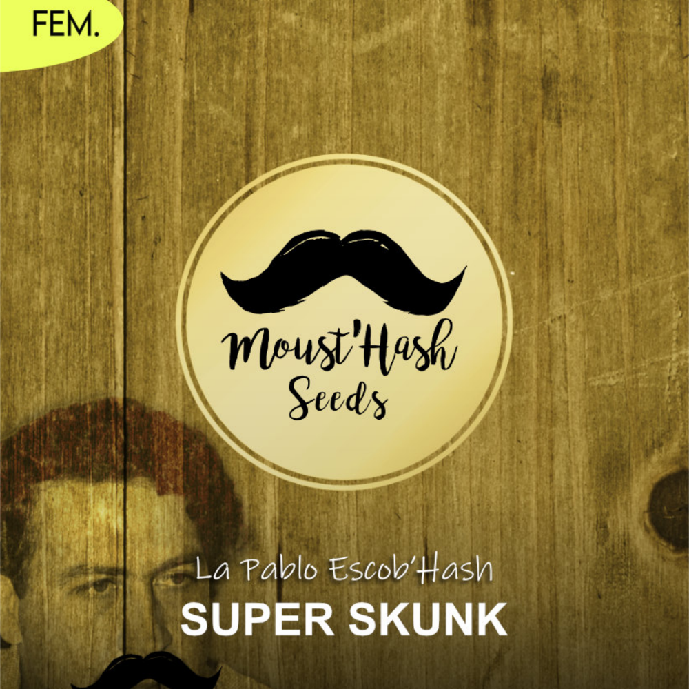La Pablo Escob'Hash - SUPER SKUNK