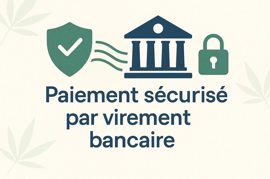 Paiement sécurisé via virement bancaire : Pourquoi ce choix ?
