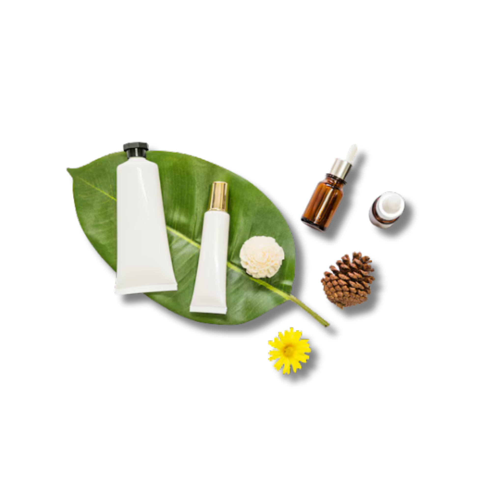 Cosmétiques