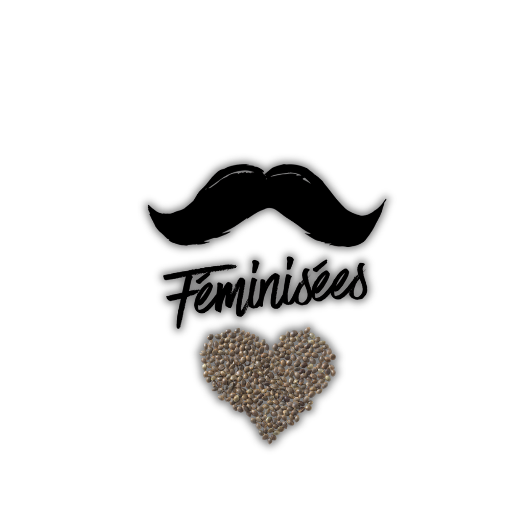 Graines féminisées