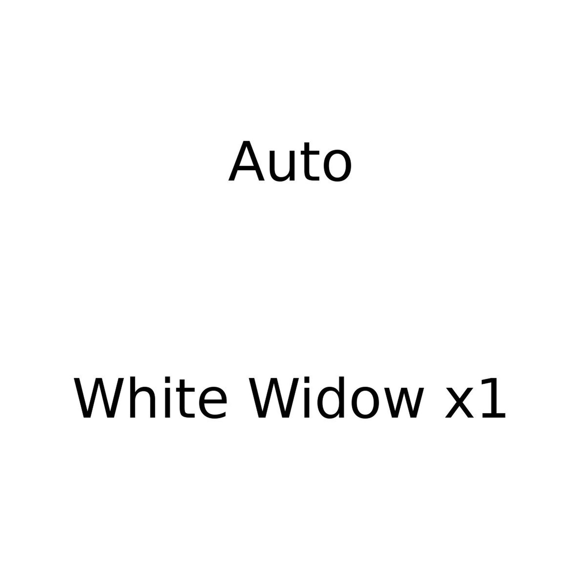 Auto White Widow x1 graine automatique Moust'hash Seeds dans emballage original