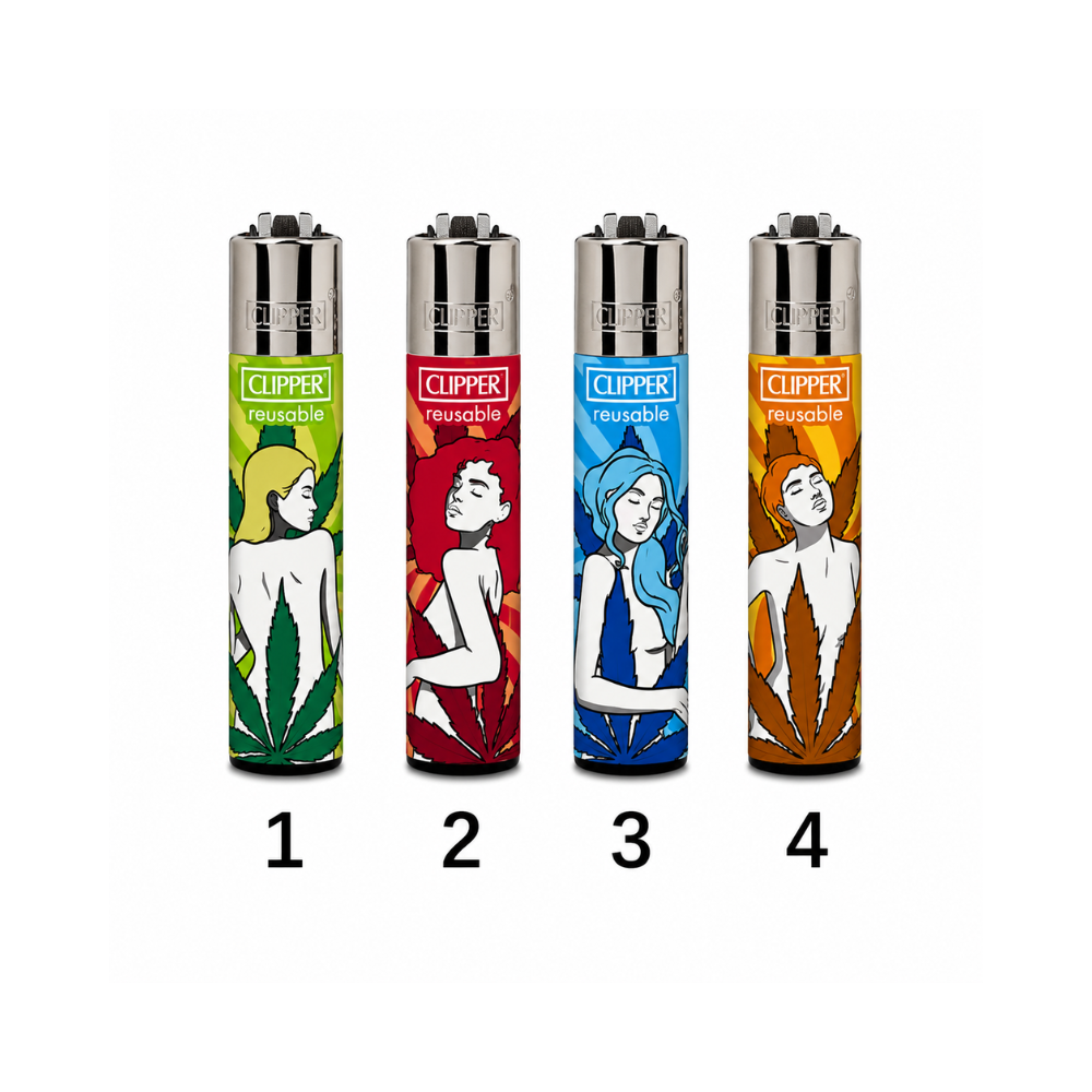 Clipper - Miss Mary Jane