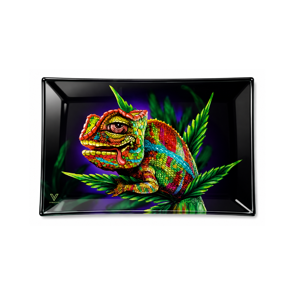 Grand plateau en verre - Chameleon
