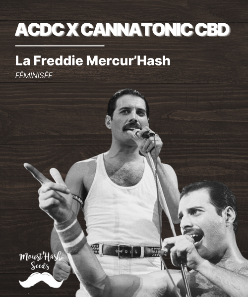 La Freddie Mercur’Hash - ACDC x Cannatonic CBD