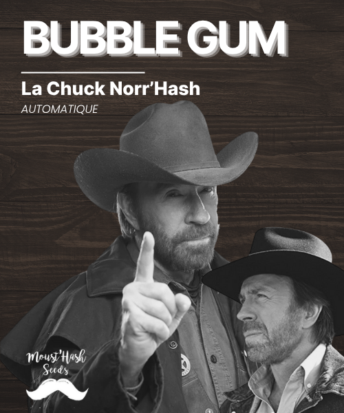 La Chuck Norr'Hash - BUBBLEGUM