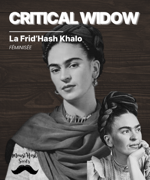 La Frid'Hash Kalo - CRITICAL WIDOW