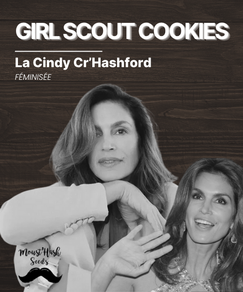 La Cindy Cr'Hashford - GIRL SCOUT COOKIES
