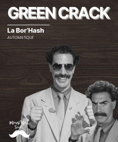La Bor'Hash - GREEN CRACK