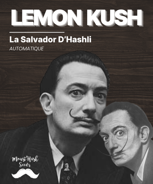 La Salvador D’Hashli - LEMON KUSH