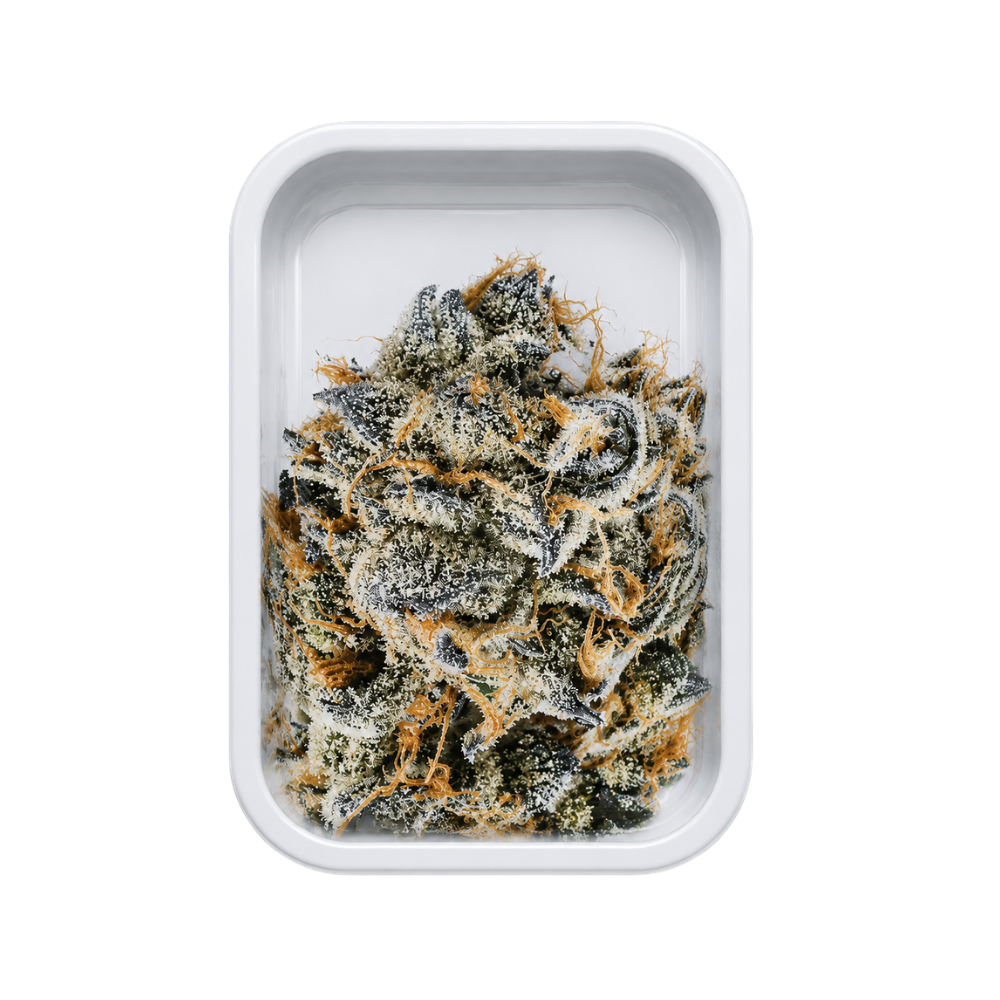 Grand plateau en métal - Girl Scout Cookies
