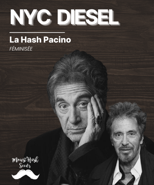 La Hash Pacino - NYC DIESEL