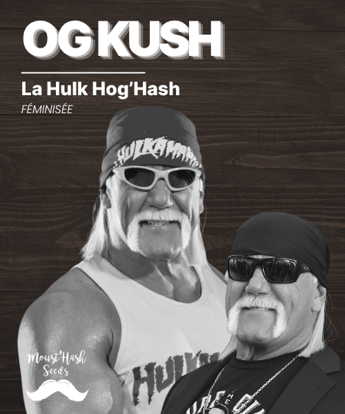 La Hulk Hog’Hash - OG Kush