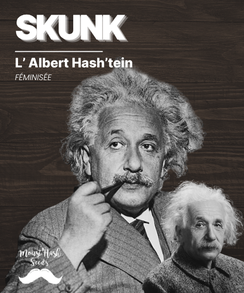 L'Albert Hash'tein - SKUNK #1