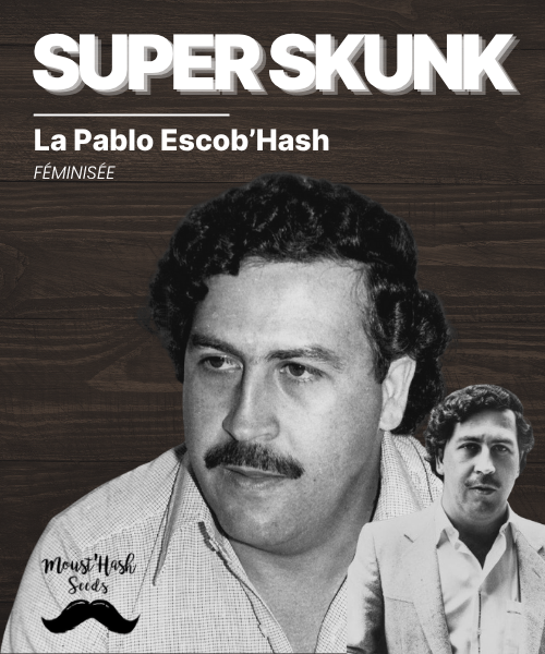 La Pablo Escob'Hash - SUPER SKUNK