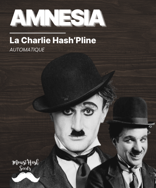 La Charlie Hash'pline - AMNESIA