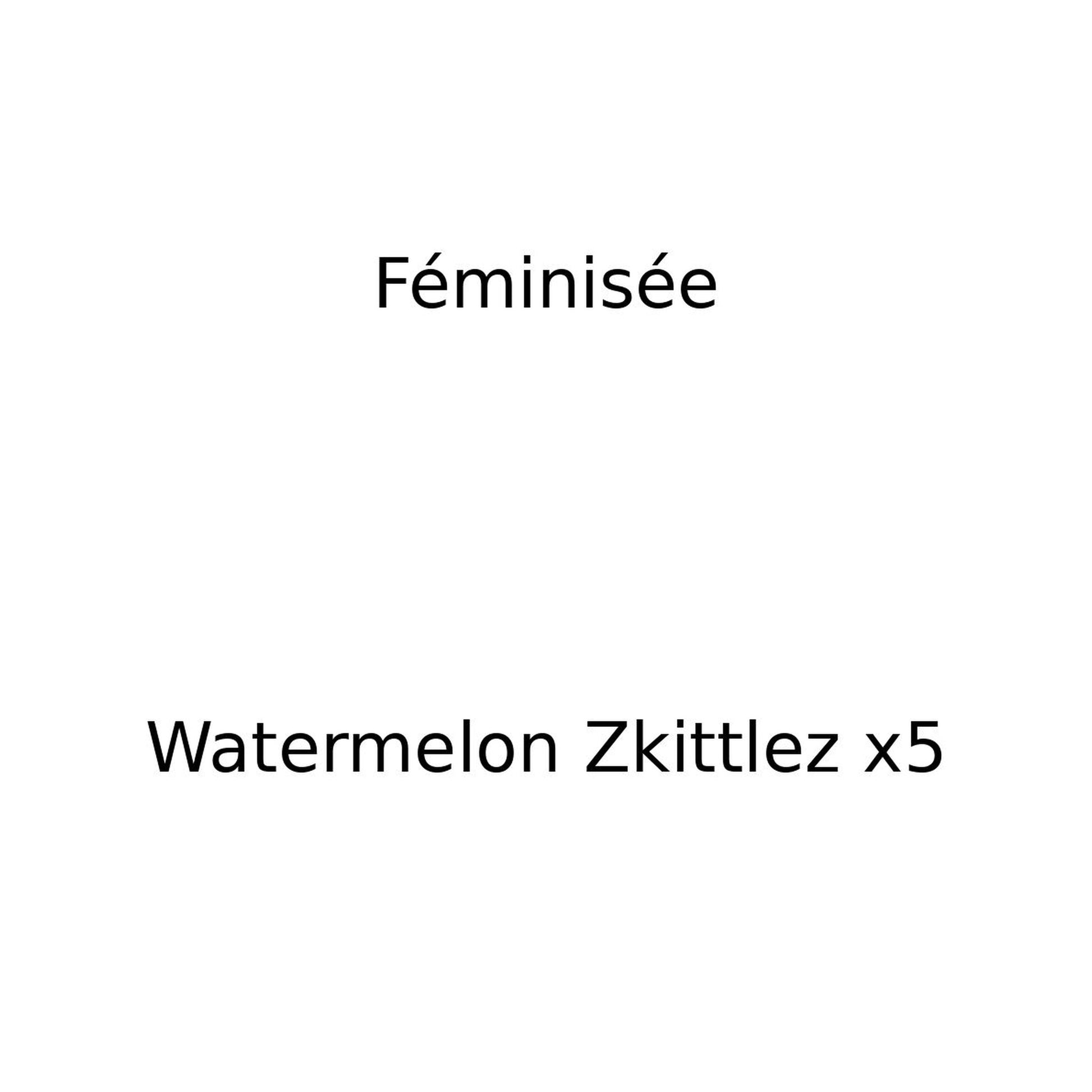Watermelon Zkittlez x5 Moust'hash Seeds — Féminisées