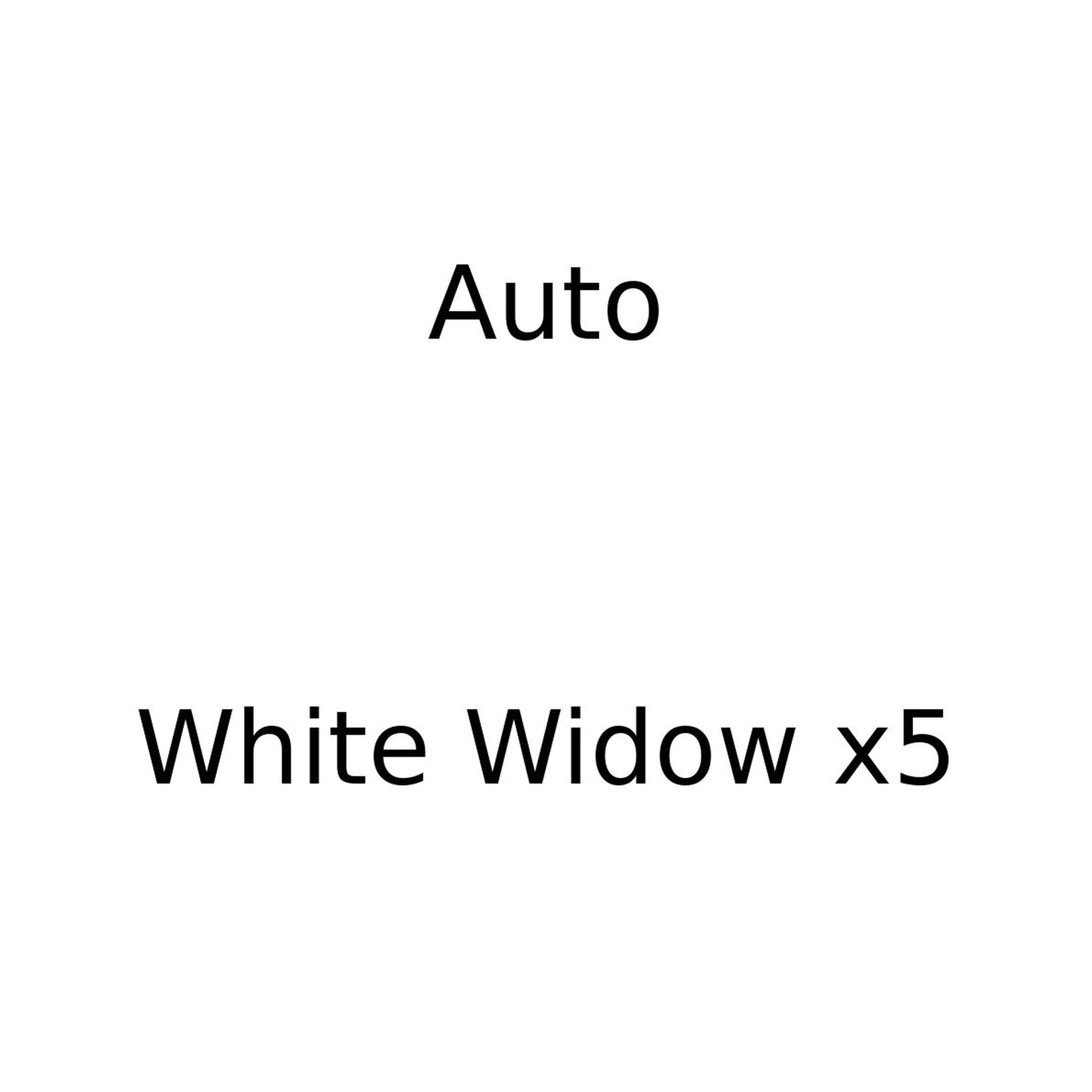 Graines Auto White Widow x5 Moust'hash Seeds - Variété automatique féminisée