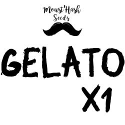 Gelato FEM