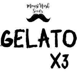 Gelato FEM
