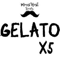 Gelato FEM