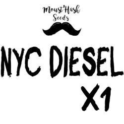 NYC Diesel FEM