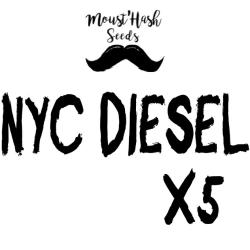 NYC Diesel FEM