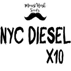 NYC Diesel FEM