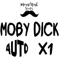 Auto Moby Dick