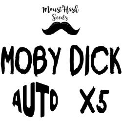 Auto Moby Dick