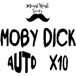 Auto Moby Dick