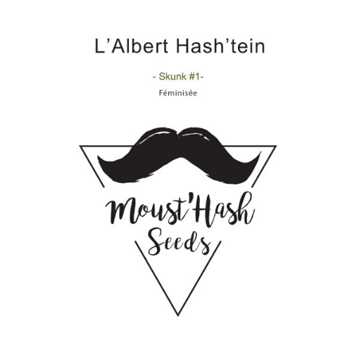 L'Albert Hash'tein (x10) - Hashtag CBD Products
