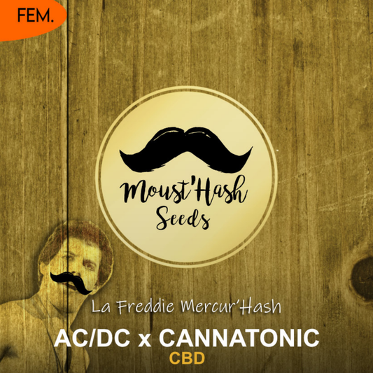La Freddie Mercur’Hash - ACDC x Cannatonic CBD
